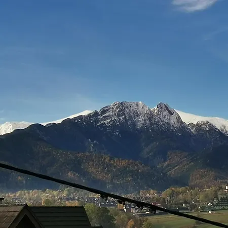 Widokowa Cudzich 3* 扎科帕内